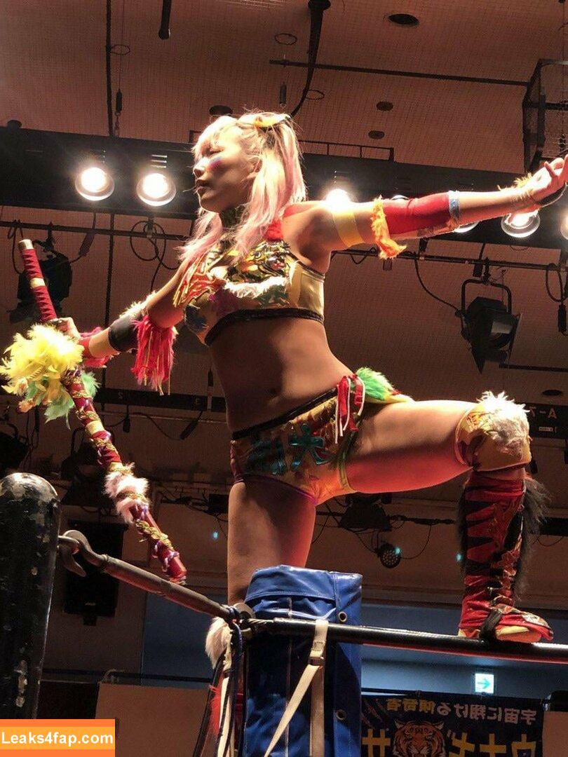 WomenJoshi / Puroresu слитое фото фото #3183