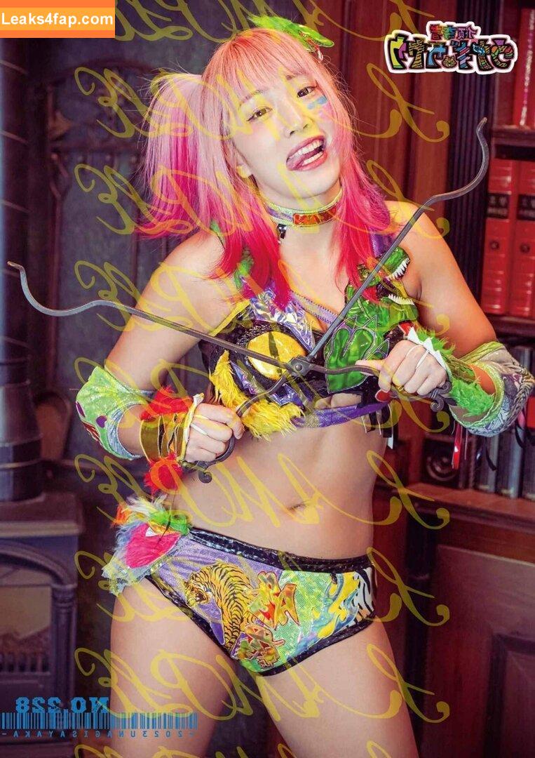 WomenJoshi / Puroresu слитое фото фото #3185