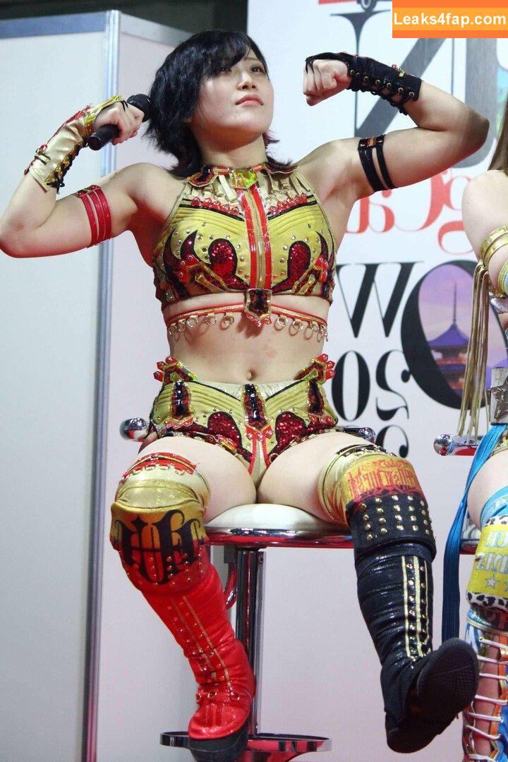 WomenJoshi / Puroresu слитое фото фото #3409