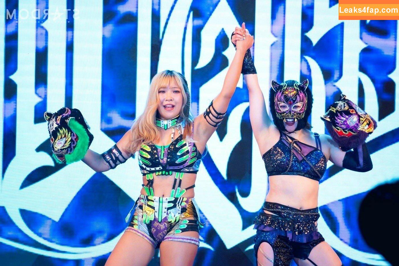 WomenJoshi / Puroresu слитое фото фото #3515