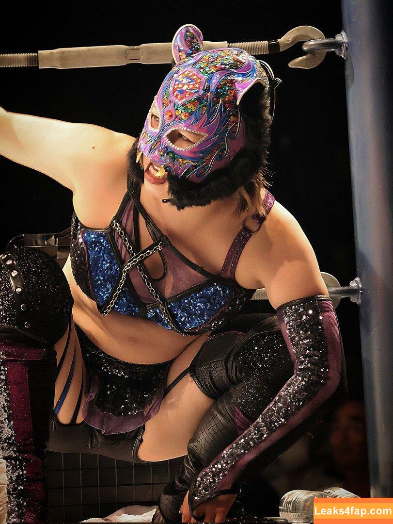 WomenJoshi / Puroresu слитое фото фото #3599