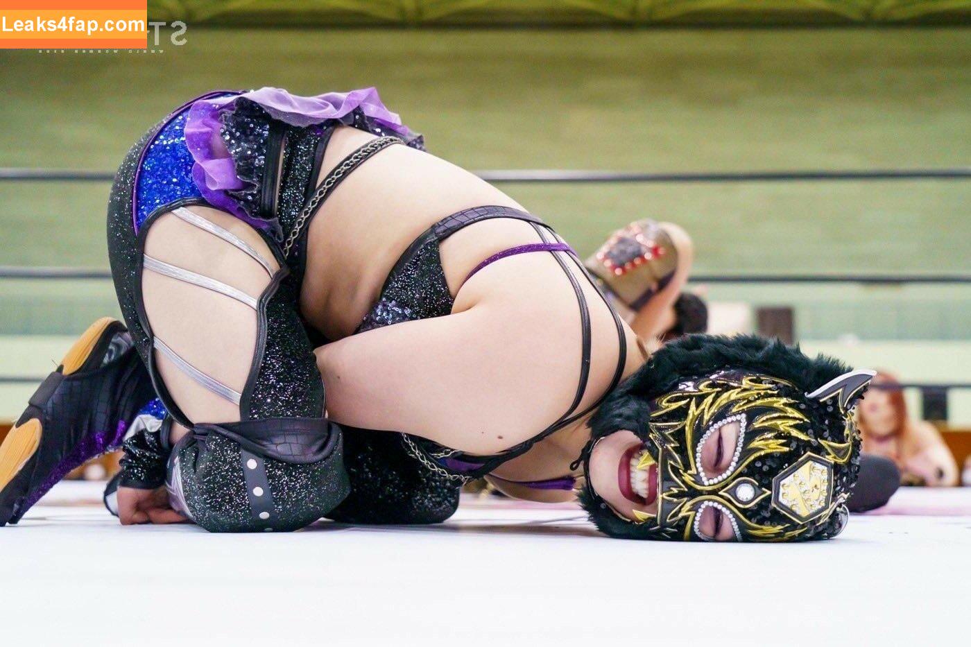 WomenJoshi / Puroresu слитое фото фото #3831