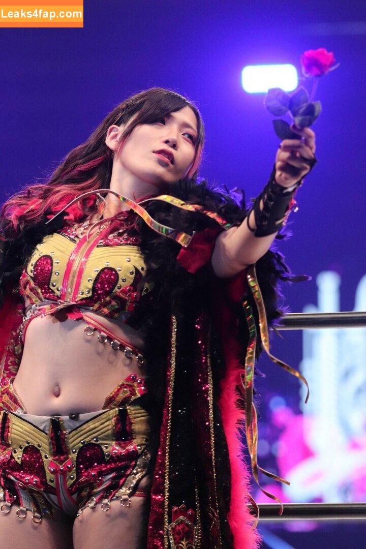 WomenJoshi / Puroresu leaked photo photo #3994