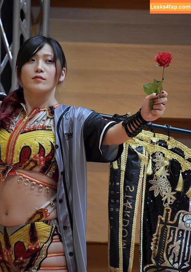 WomenJoshi / Puroresu leaked photo photo #4056