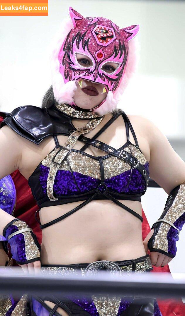 WomenJoshi / Puroresu leaked photo photo #4454