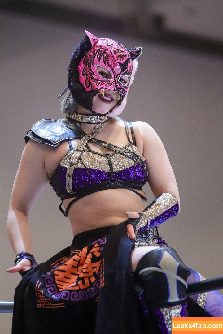 WomenJoshi / Puroresu leaked photo photo #4460