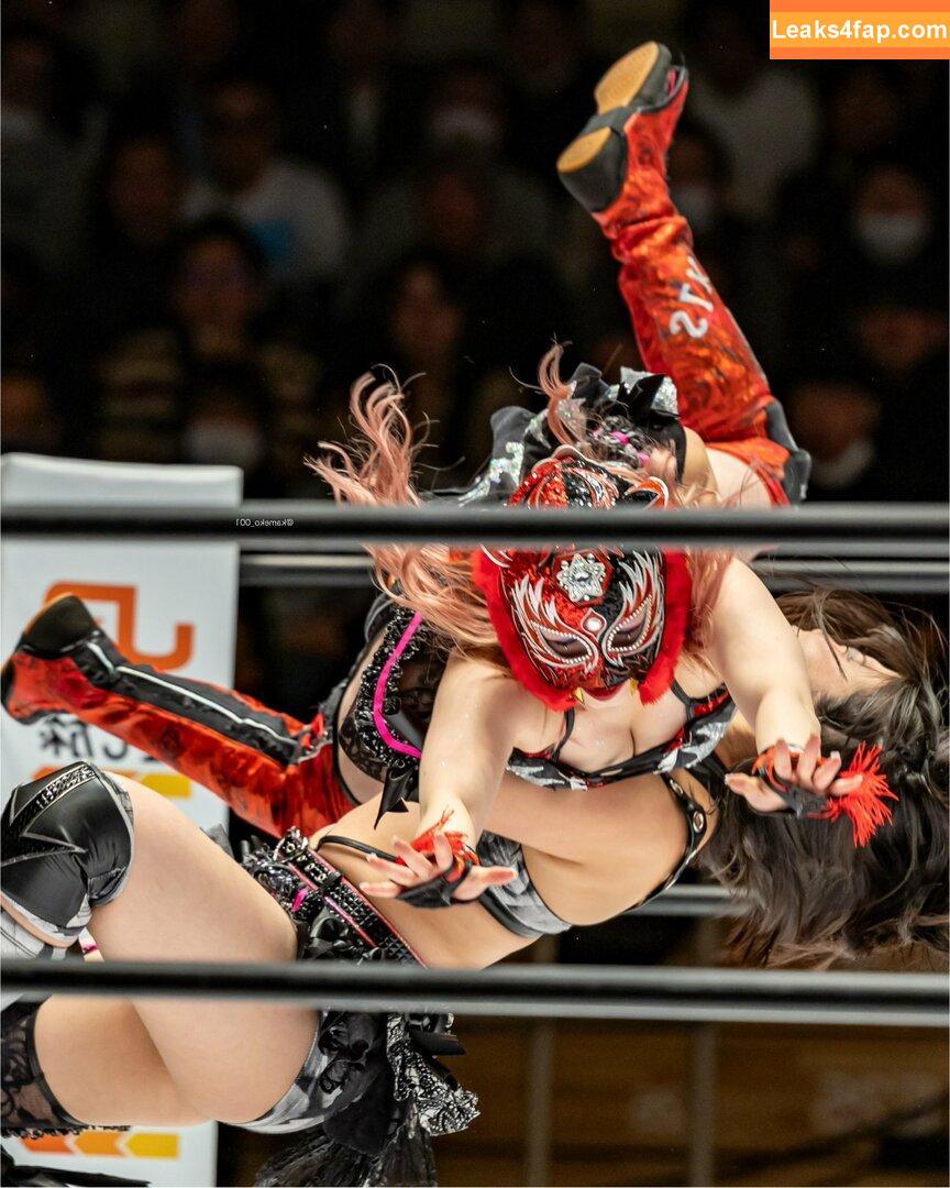 WomenJoshi / Puroresu leaked photo photo #5598