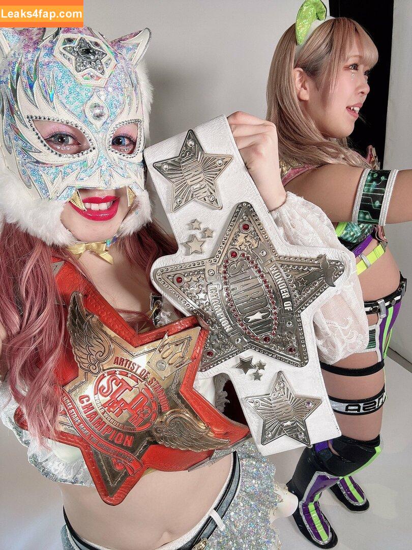 WomenJoshi / Puroresu leaked photo photo #5707