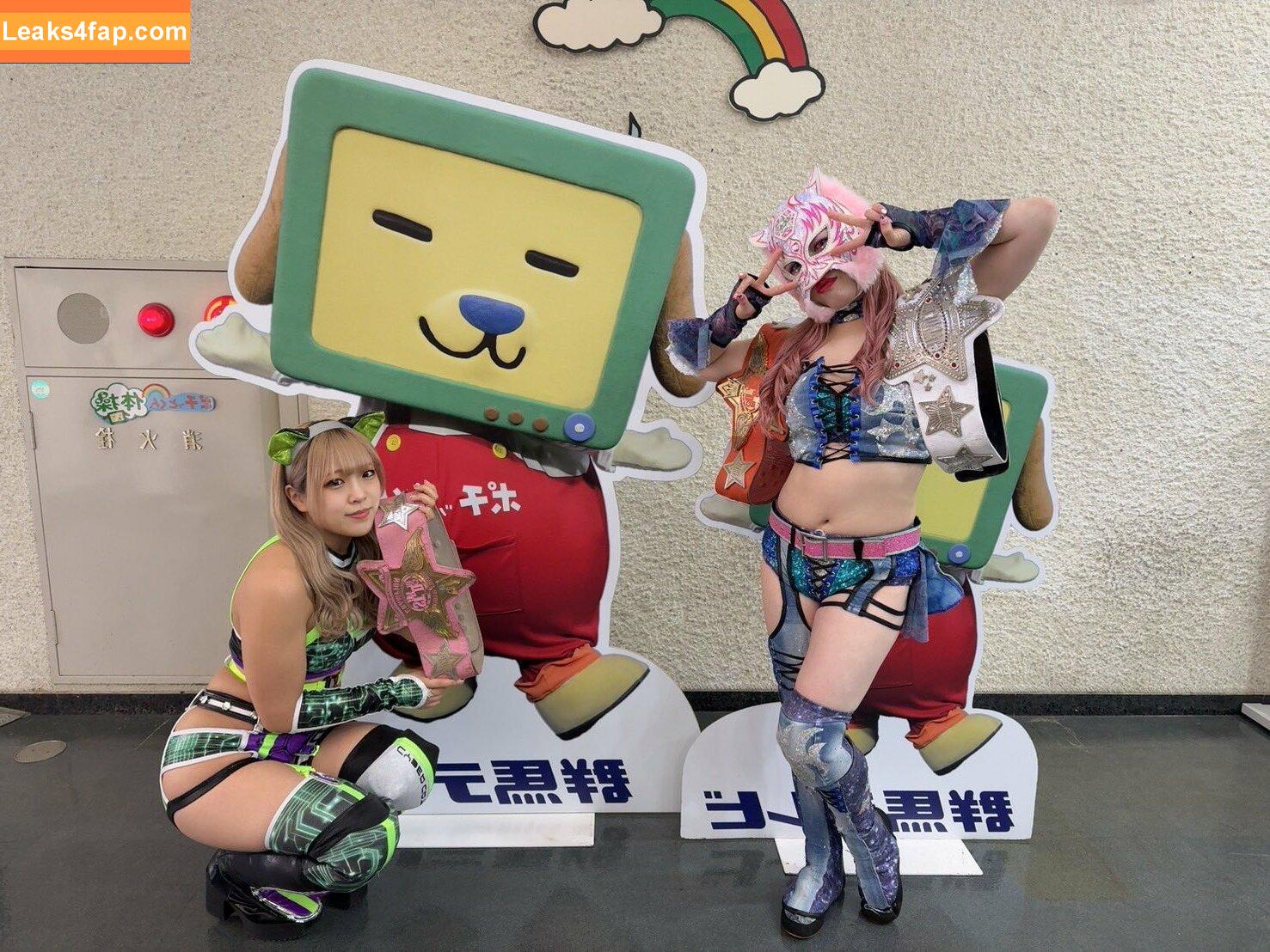 WomenJoshi / Puroresu leaked photo photo #5708