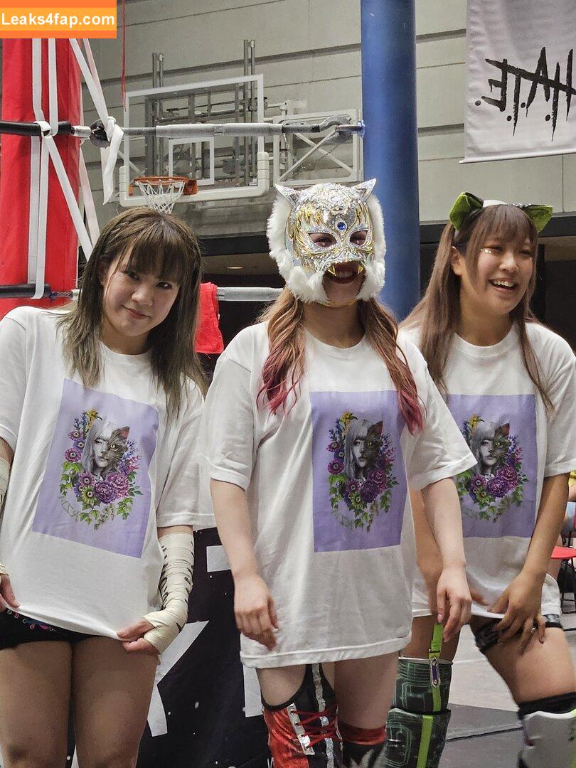 WomenJoshi / Puroresu leaked photo photo #5877