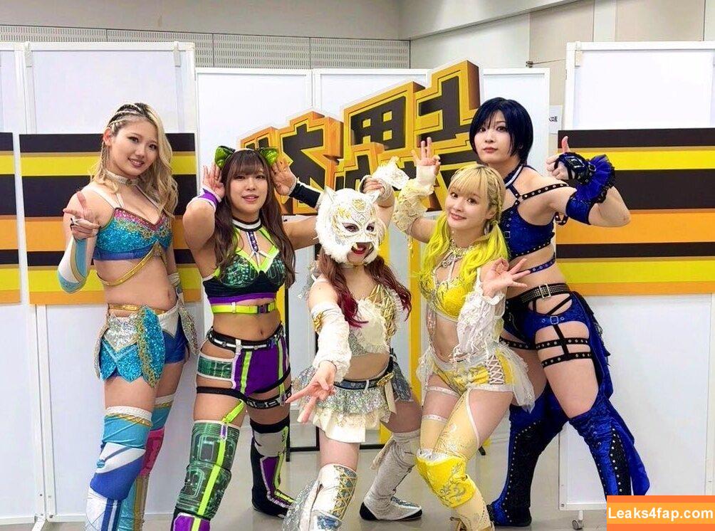 WomenJoshi / Puroresu leaked photo photo #5882