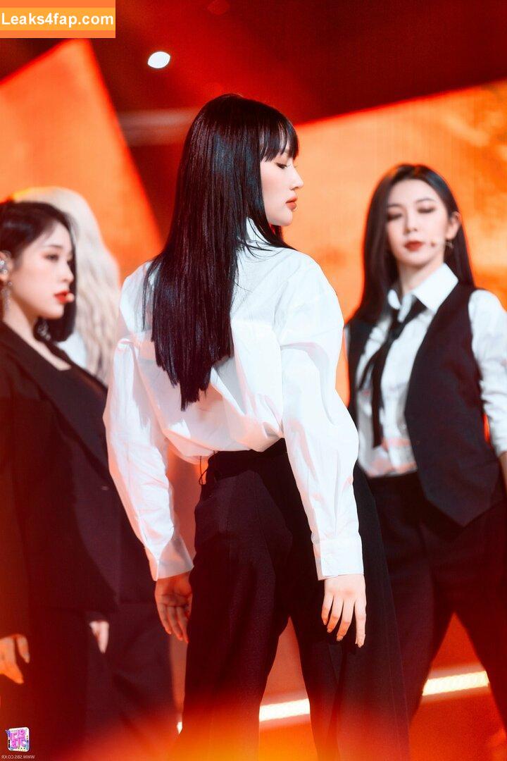 WomenK-pop /  leaked photo photo #0013