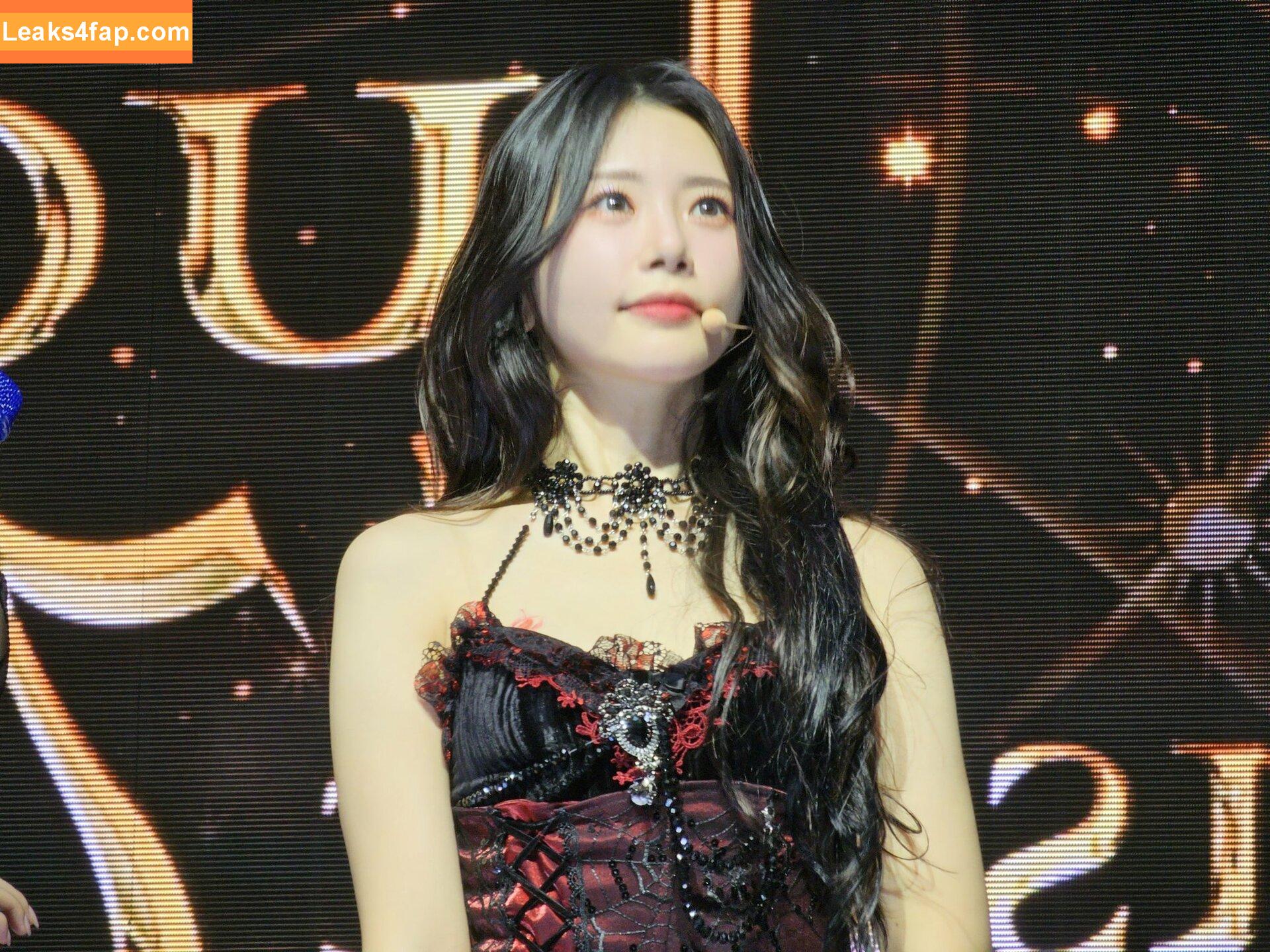 WomenK-pop /  слитое фото фото #1005