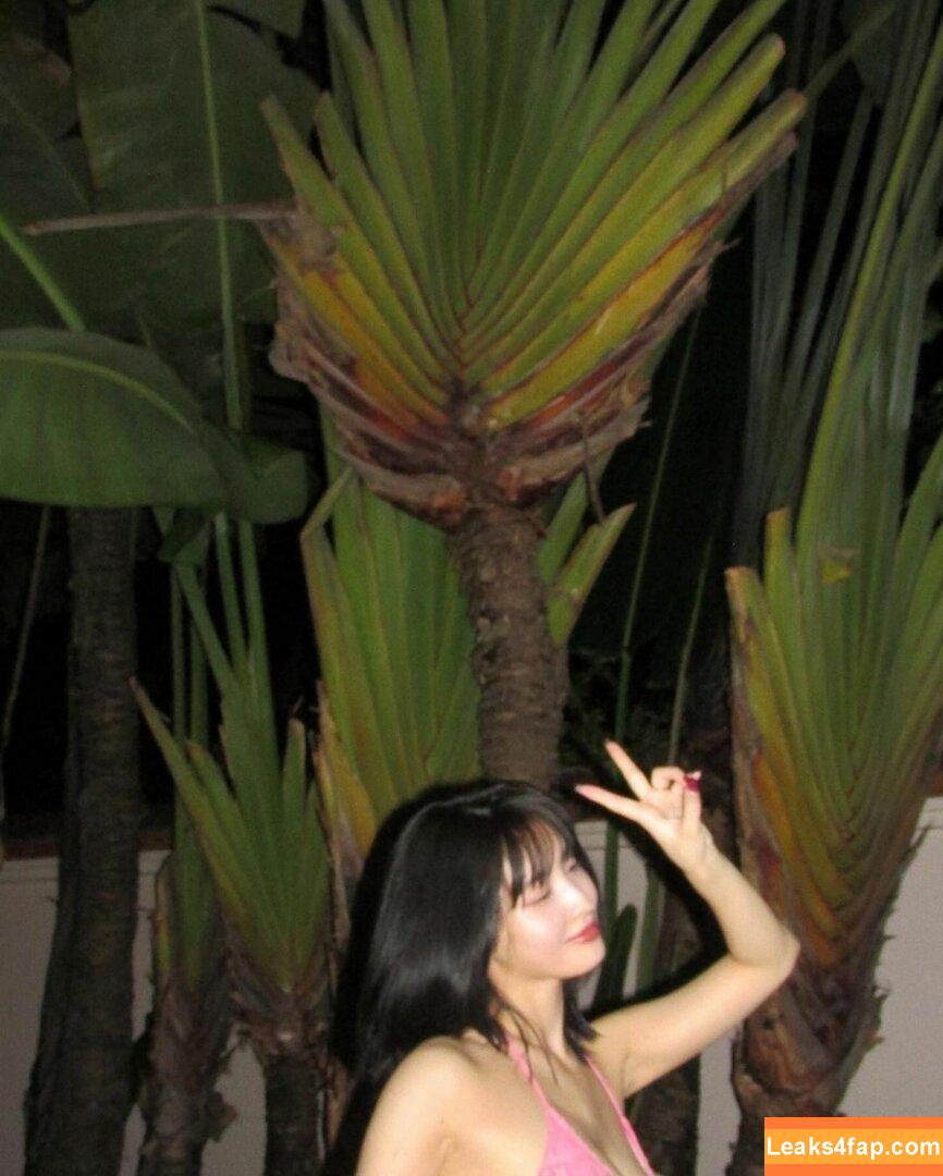 WomenK-pop /  слитое фото фото #1059