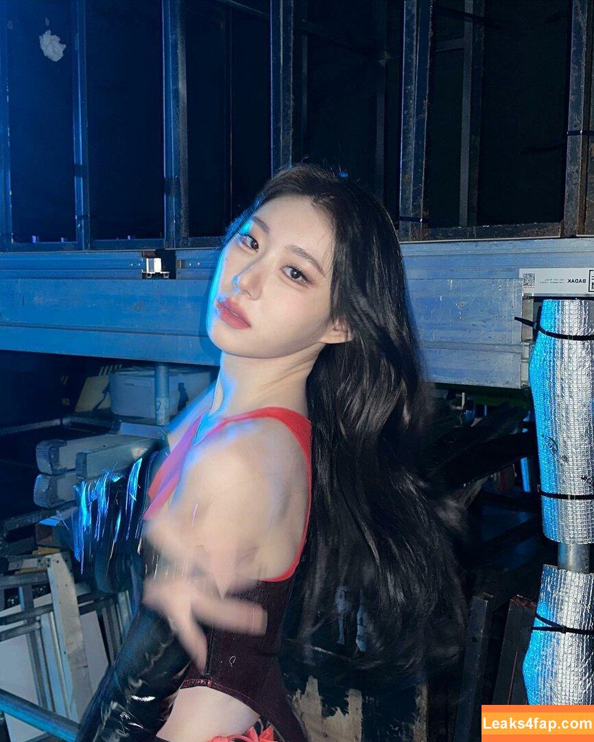 WomenK-pop /  слитое фото фото #1252