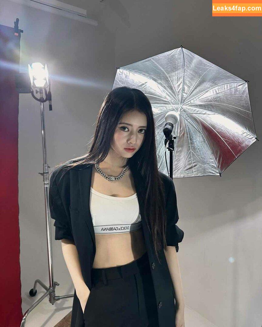 WomenK-pop /  слитое фото фото #1493