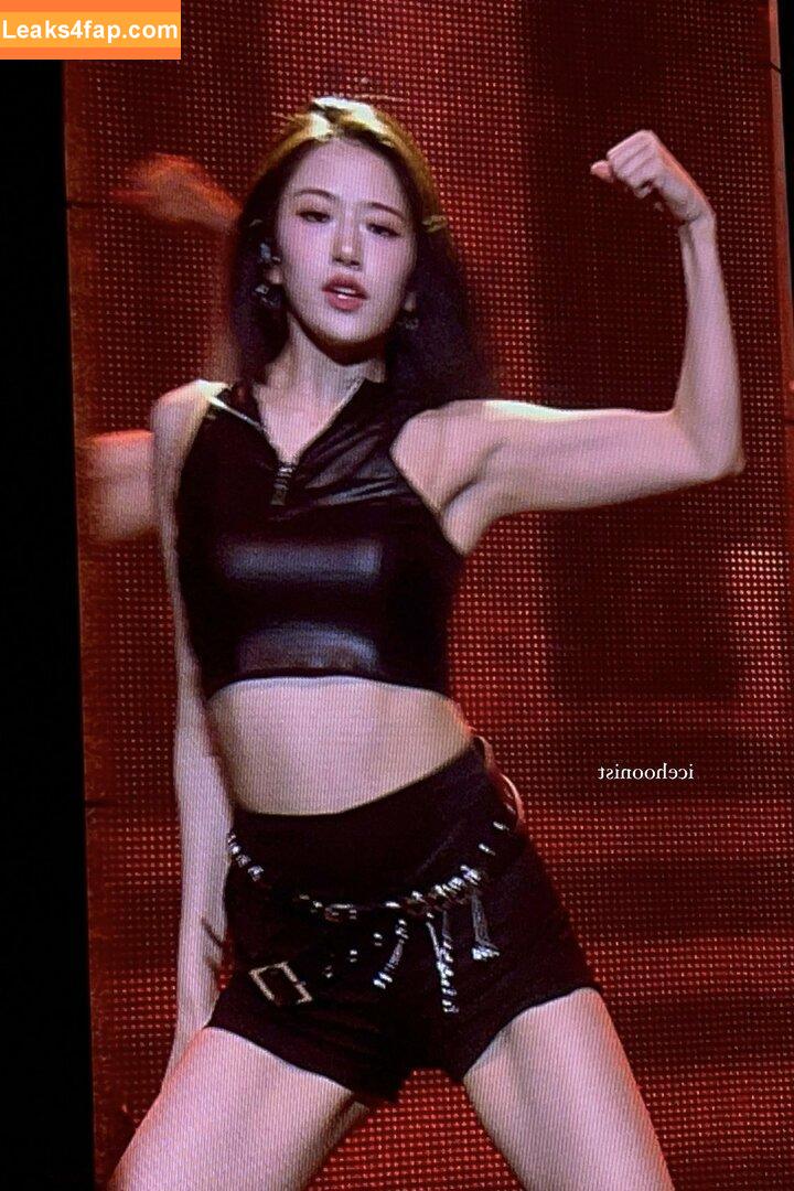 WomenK-pop /  слитое фото фото #1506