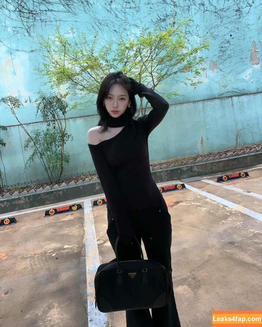 WomenK-pop /  слитое фото фото #1535