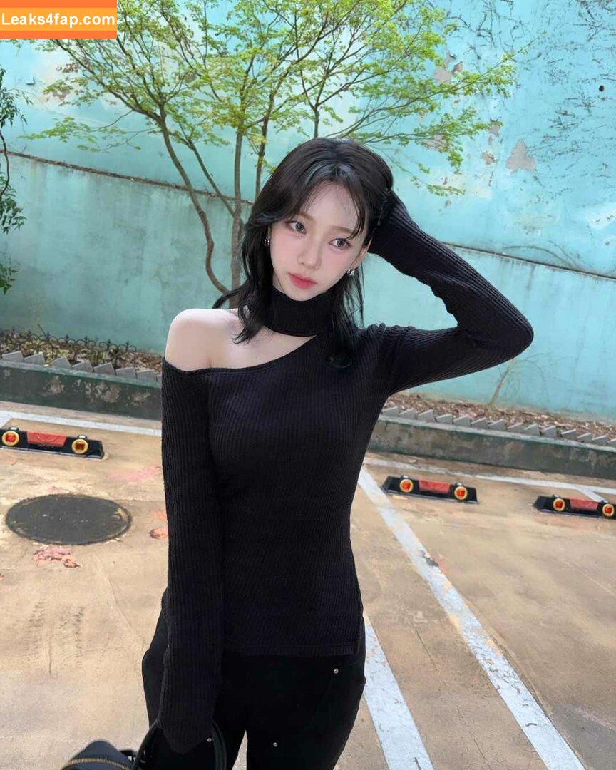 WomenK-pop /  слитое фото фото #1537