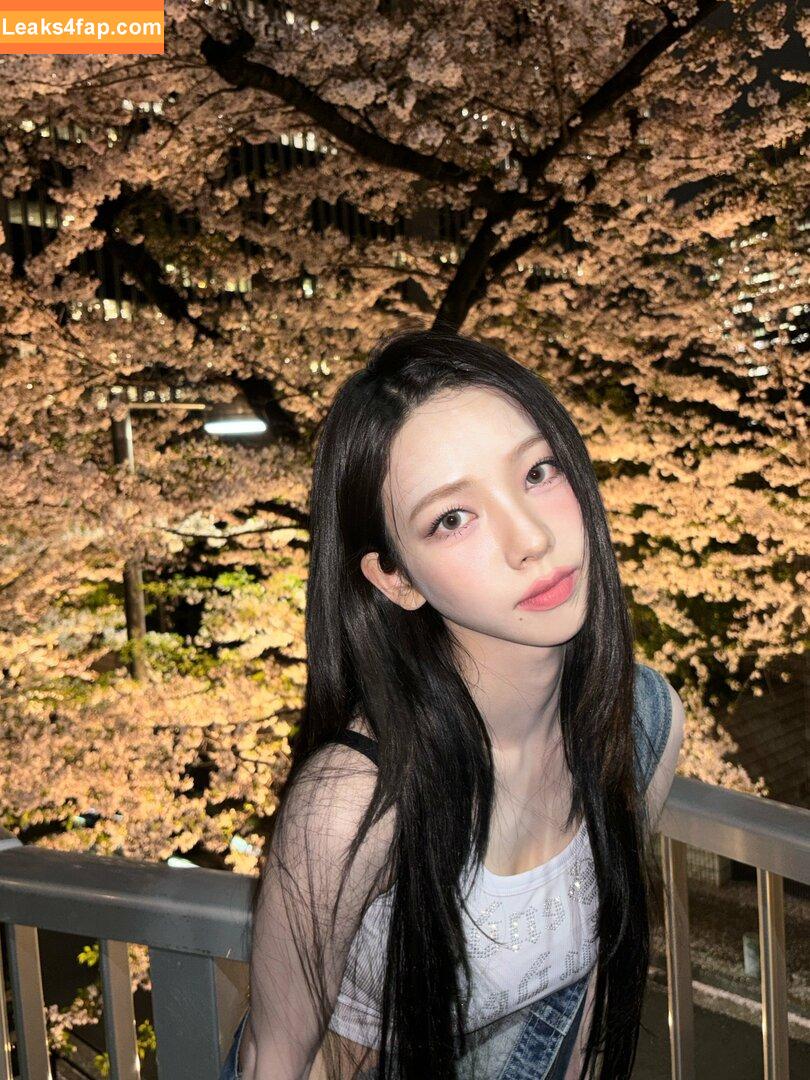 WomenK-pop /  слитое фото фото #1746