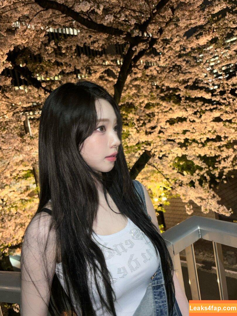 WomenK-pop /  слитое фото фото #1748