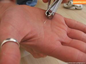 Worldoffeet photo #1918