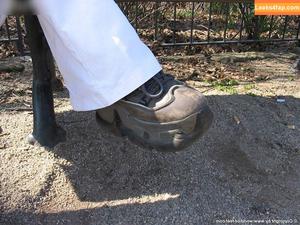 Worldoffeet photo #2387