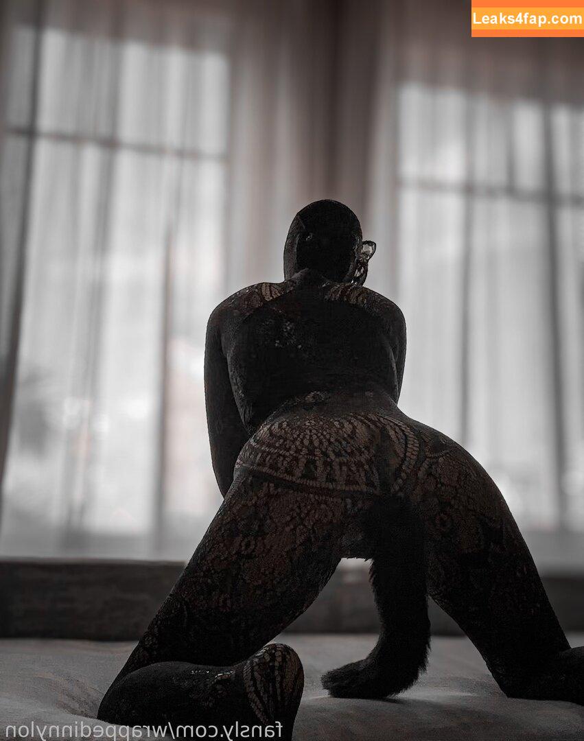 wrappedinnylon /  leaked photo photo #0044