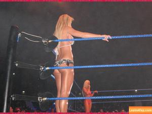 WWE Michelle McCool фото #0020