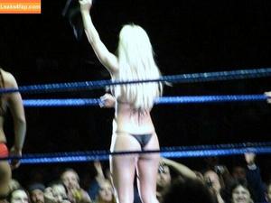 WWE Michelle McCool фото #0040