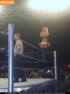 WWE Michelle McCool фото #0044