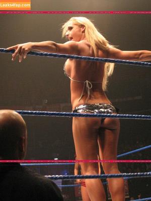 WWE Michelle McCool фото #0046