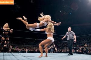 WWE Torrie Wilson photo #0042