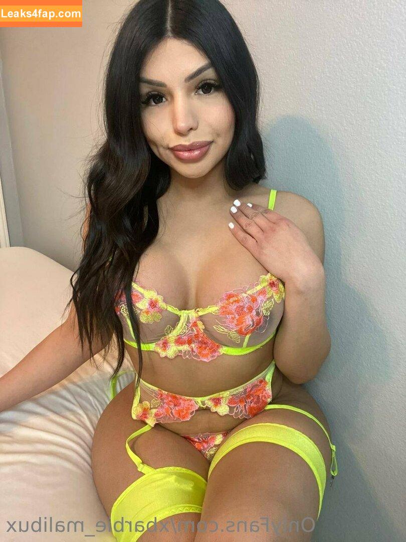 xbarbie_malibux /  leaked photo photo #0084