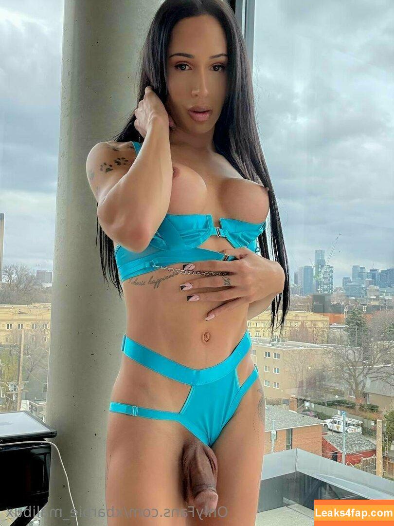 xbarbie_malibux /  leaked photo photo #0332
