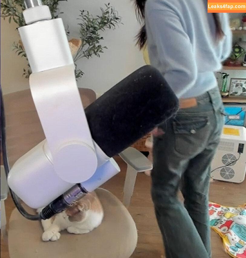 xChocobars / Janetrose / janetrosee leaked photo photo #0689