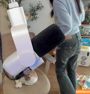 xChocobars photo #0688