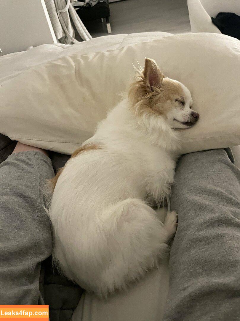 xsofiasunshine / Sofia Sunshine / x.sofiasunshine leaked photo photo #0008