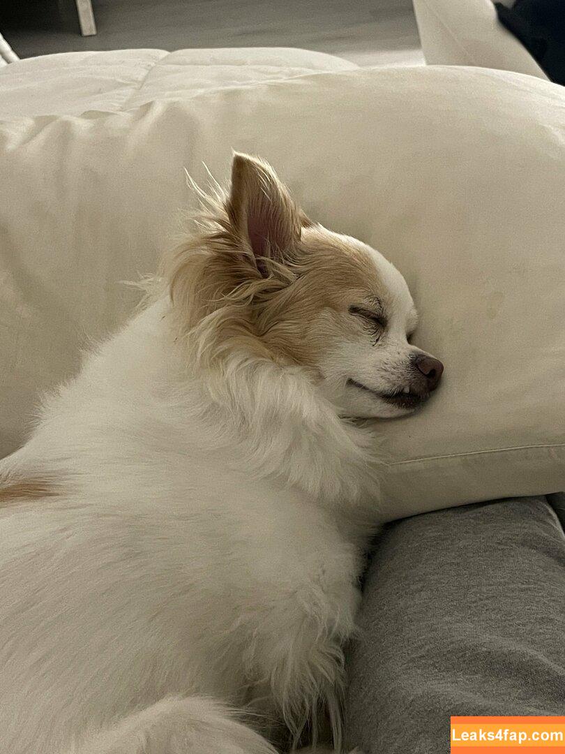 xsofiasunshine / Sofia Sunshine / x.sofiasunshine leaked photo photo #0009