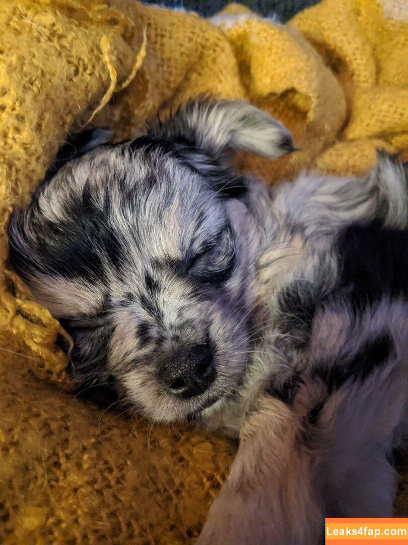 xsofiasunshine / Sofia Sunshine / x.sofiasunshine leaked photo photo #0088