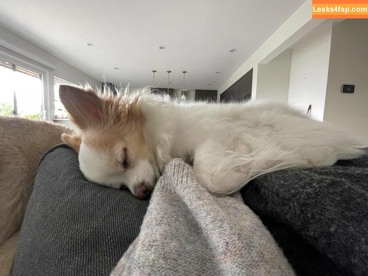 xsofiasunshine / Sofia Sunshine / x.sofiasunshine leaked photo photo #0221