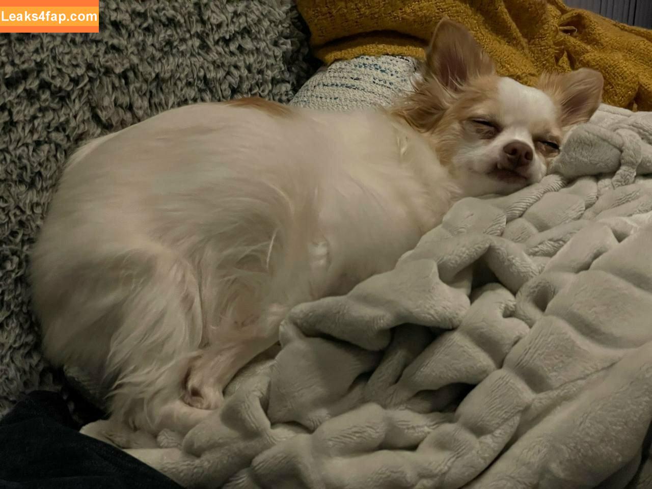 xsofiasunshine / Sofia Sunshine / x.sofiasunshine leaked photo photo #0370