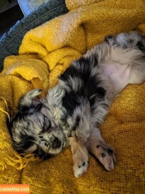 xsofiasunshine photo #0089