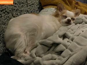 xsofiasunshine photo #0370