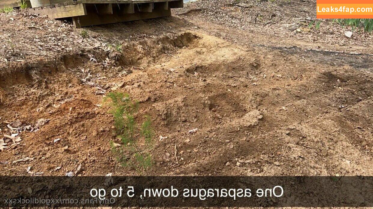 xxgoldilocksxx /  leaked photo photo #0014