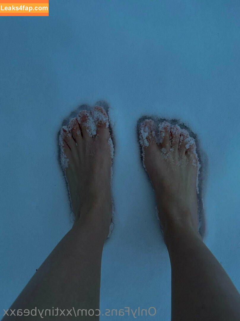 xxtinybeaxx / xxtinybeanxx leaked photo photo #0009