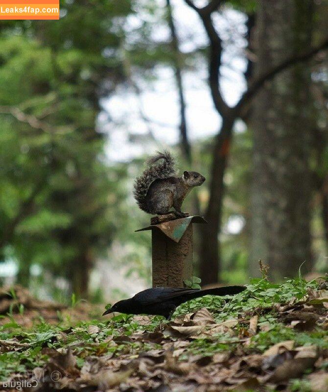 xxxcaligulaxxx / CaligulaMalanga / aka pussycat-moz / caligula_wouldhave_blushed leaked photo photo #0052