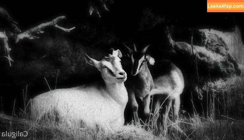 xxxcaligulaxxx / CaligulaMalanga / aka pussycat-moz / caligula_wouldhave_blushed leaked photo photo #0053