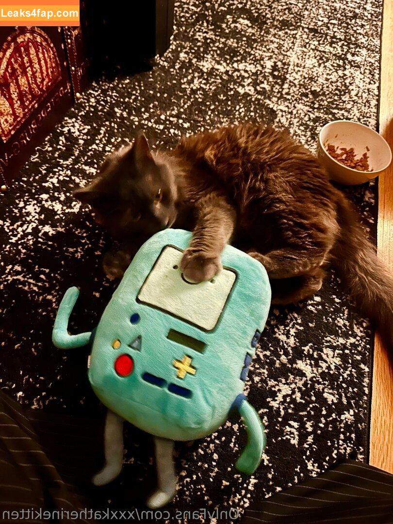 xxxkatherinekitten / asmrkitten / kittengirlkatherine leaked photo photo #0042