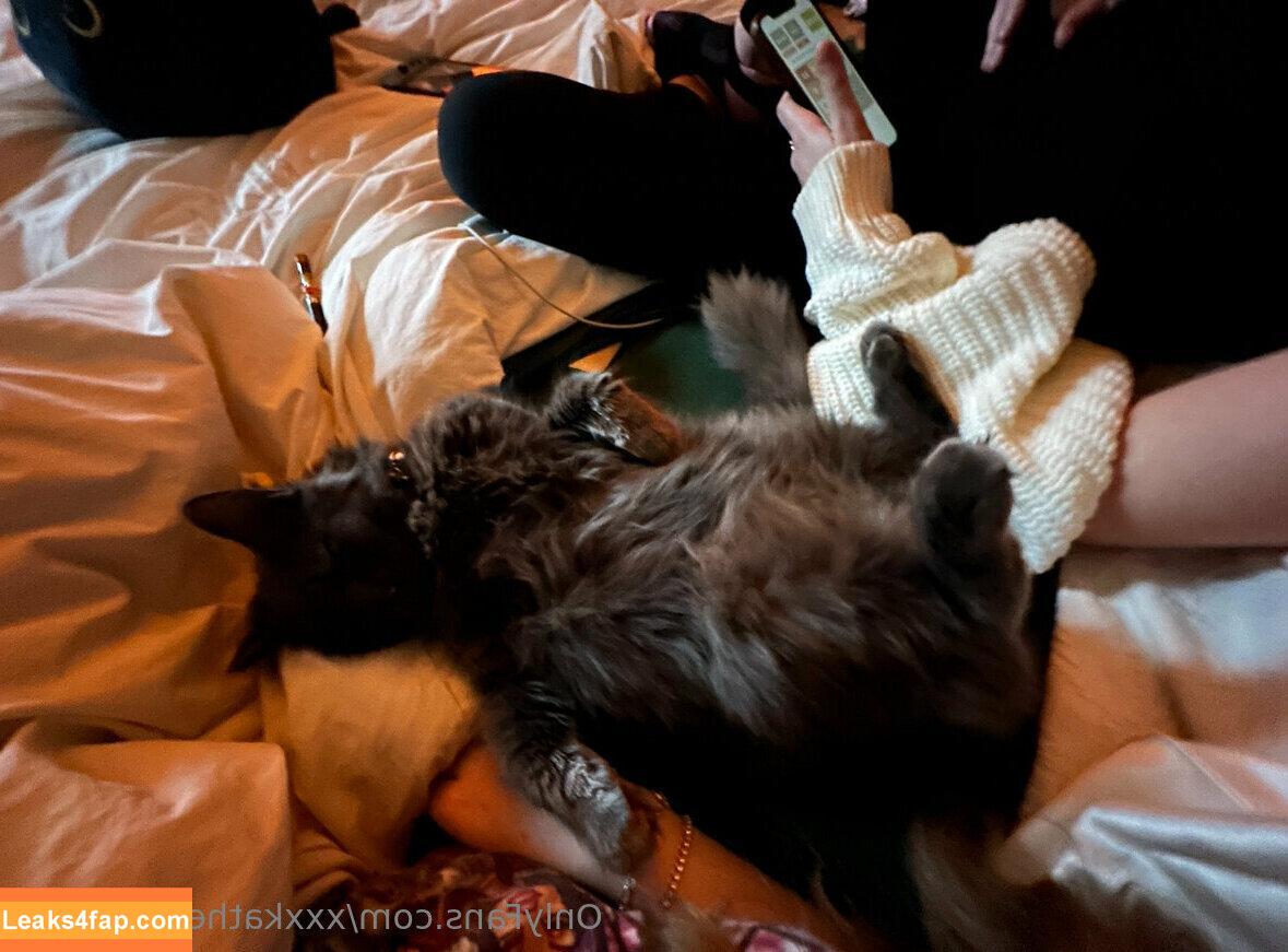 xxxkatherinekitten / asmrkitten / kittengirlkatherine leaked photo photo #0045